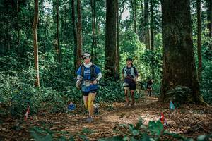 BIB: 
                            <button type="button" onclick="openModal(26135589)" class="btn btn-primary btn-sm float-right btn-popup" data-toggle="modal" data-target=".modal-high-quality">
                        <i class="fas fa-shopping-cart"></i> Add to Cart
                    </button>
                                            <button type="button" onclick="isThisMe(26135589, true)" class="btn btn-success btn-sm float-right btn-popup btn-isme hidden" data-toggle="tooltip" data-placement="bottom" title="นี่คือรูปของคุณใช่ไหม คลิกที่นี่เพื่อเอาเข้าอัลบั้ม">
                        <i class="fas fa-plus"></i> Add to album
                    </button>
                    <button type="button" onclick="isThisMe(26135589, false)" class="btn btn-warning btn-sm float-right btn-popup btn-isnotme hidden">
                        <i class="fas fa-ban"></i> Remove from album
                    </button>